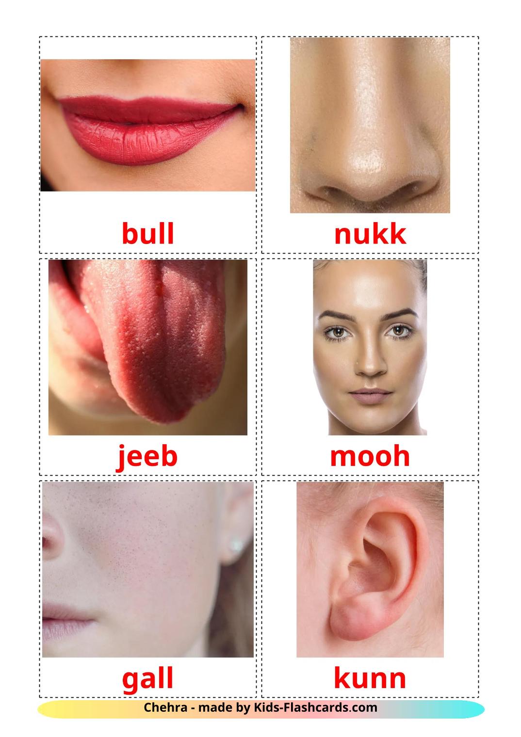 Face - 20 Free Printable punjabi(Gurmukhi) Flashcards