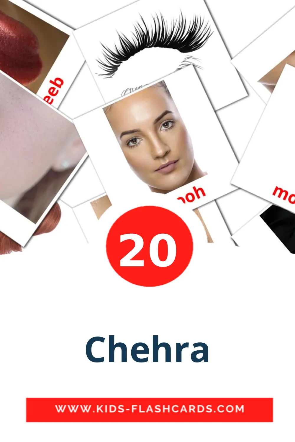20 Chehra Picture Cards for Kindergarden in punjabi(Gurmukhi)