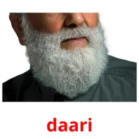 daari picture flashcards