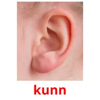 kunn picture flashcards
