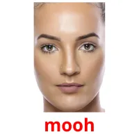 mooh picture flashcards