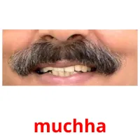 muchha picture flashcards