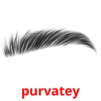 purvatey picture flashcards