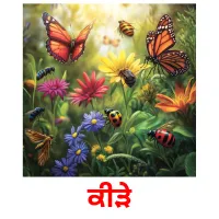 ਕੀੜੇ bildekort