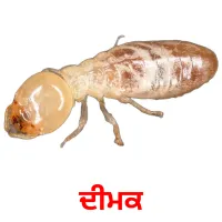 ਦੀਮਕ bildekort