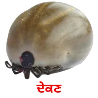 ਦੇਕਣ bildekort