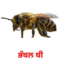 ਭੰਬਲ ਬੀ bildekort