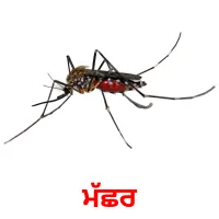 ਮੱਛਰ bildekort