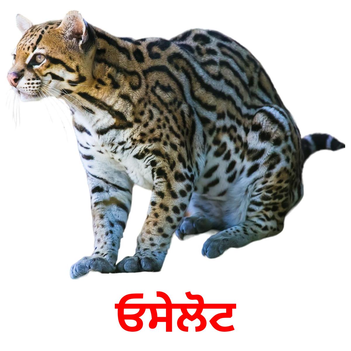 ਓਸੇਲੋਟ bildkort för barn