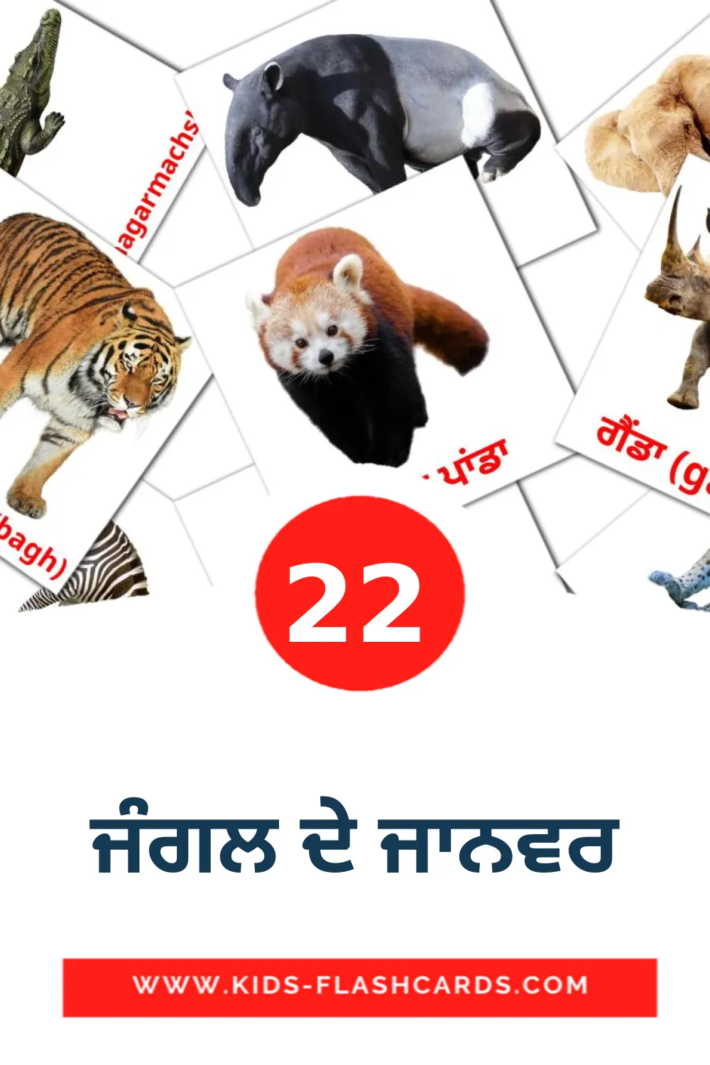 22 bildkort med ਜੰਗਲ ਦੇ ਜਾਨਵਰ för barnträdgården på punjabi(gurmukhi)