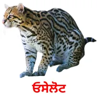 ਓਸੇਲੋਟ bildkort för barn