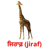 ਜਿਰਾਫ਼ (jiraf) bildkort för barn