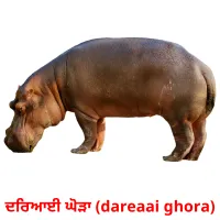 ਦਰਿਆਈ ਘੋੜਾ (dareaai ghora) bildkort för barn