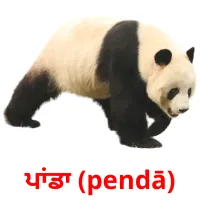 ਪਾਂਡਾ (pendā) bildkort för barn