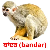 ਬਾਂਦਰ (bandar) bildkort för barn