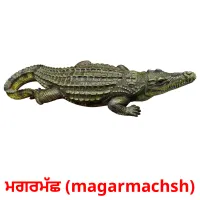 ਮਗਰਮੱਛ (magarmachsh) bildkort för barn