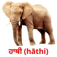 ਹਾਥੀ (hāthi) bildkort för barn