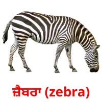 ਜ਼ੈਬਰਾ (zebra) bildkort för barn