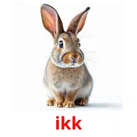 ikk picture flashcards
