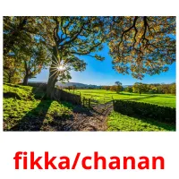 fikka/chanan bildkort för barn