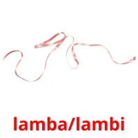 lamba/lambi bildkort för barn