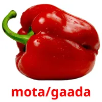 mota/gaada bildkort för barn