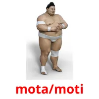 mota/moti bildkort för barn