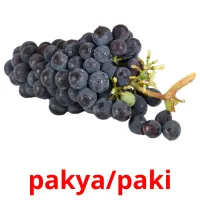 pakya/paki bildkort för barn