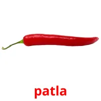 patla bildkort för barn