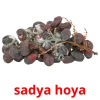 sadya hoya bildkort för barn