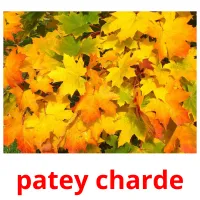 patey charde ansichtkaarten