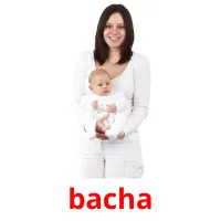 bacha bildkort för barn