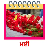 ਮਈ picture flashcards