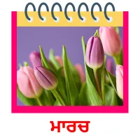 ਮਾਰਚ picture flashcards