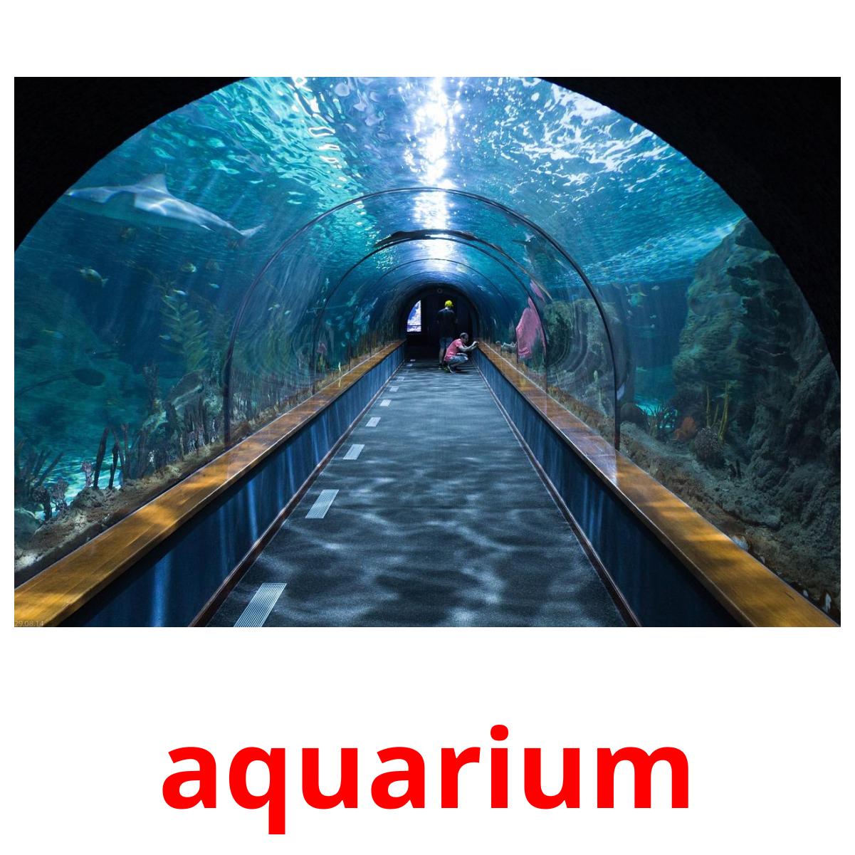 aquarium bildekort