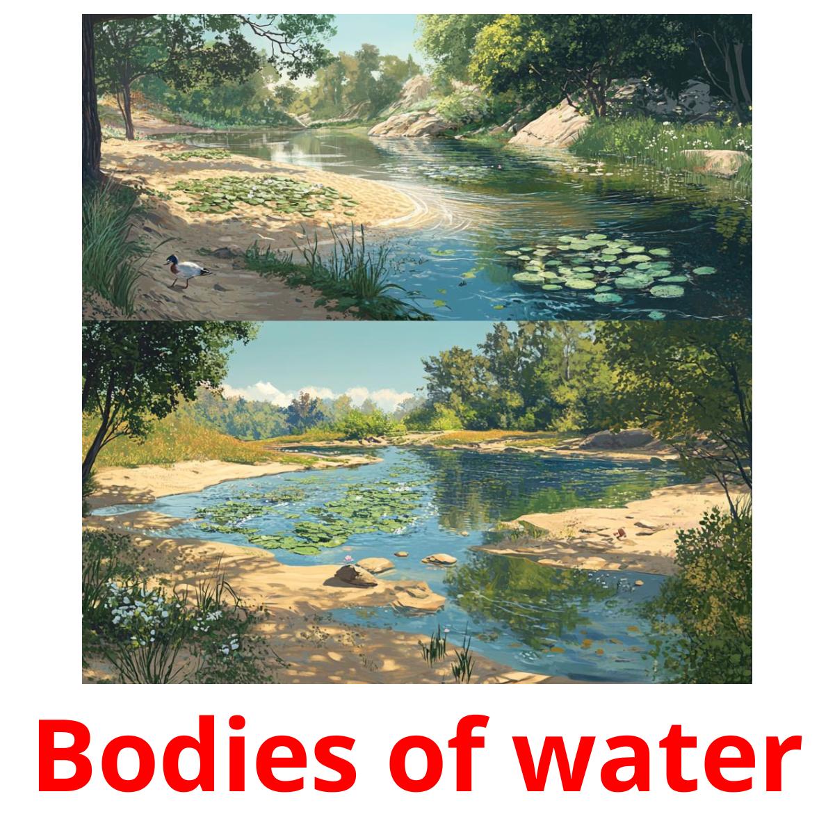 Bodies of Water bildekort