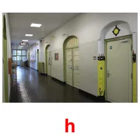 h picture flashcards