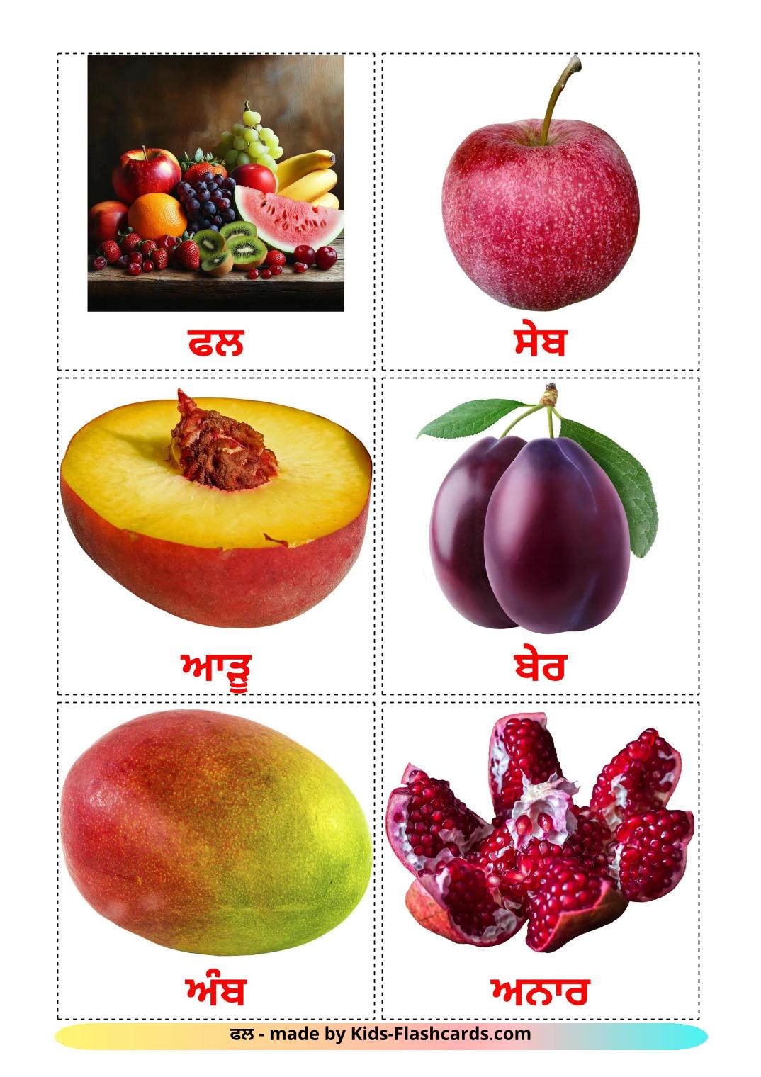 Fruits - 21 Free Printable punjabi(Gurmukhi) Flashcards 