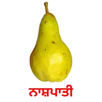 ਨਾਸ਼ਪਾਤੀ picture flashcards