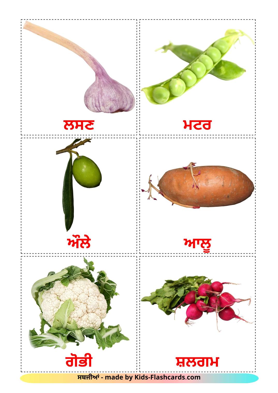 Vegetables - 29 Free Printable punjabi(Gurmukhi) Flashcards 