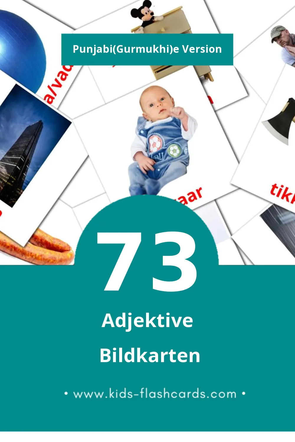 Visual common Flashcards für Kleinkinder (73 Karten in Punjabi(Gurmukhi))