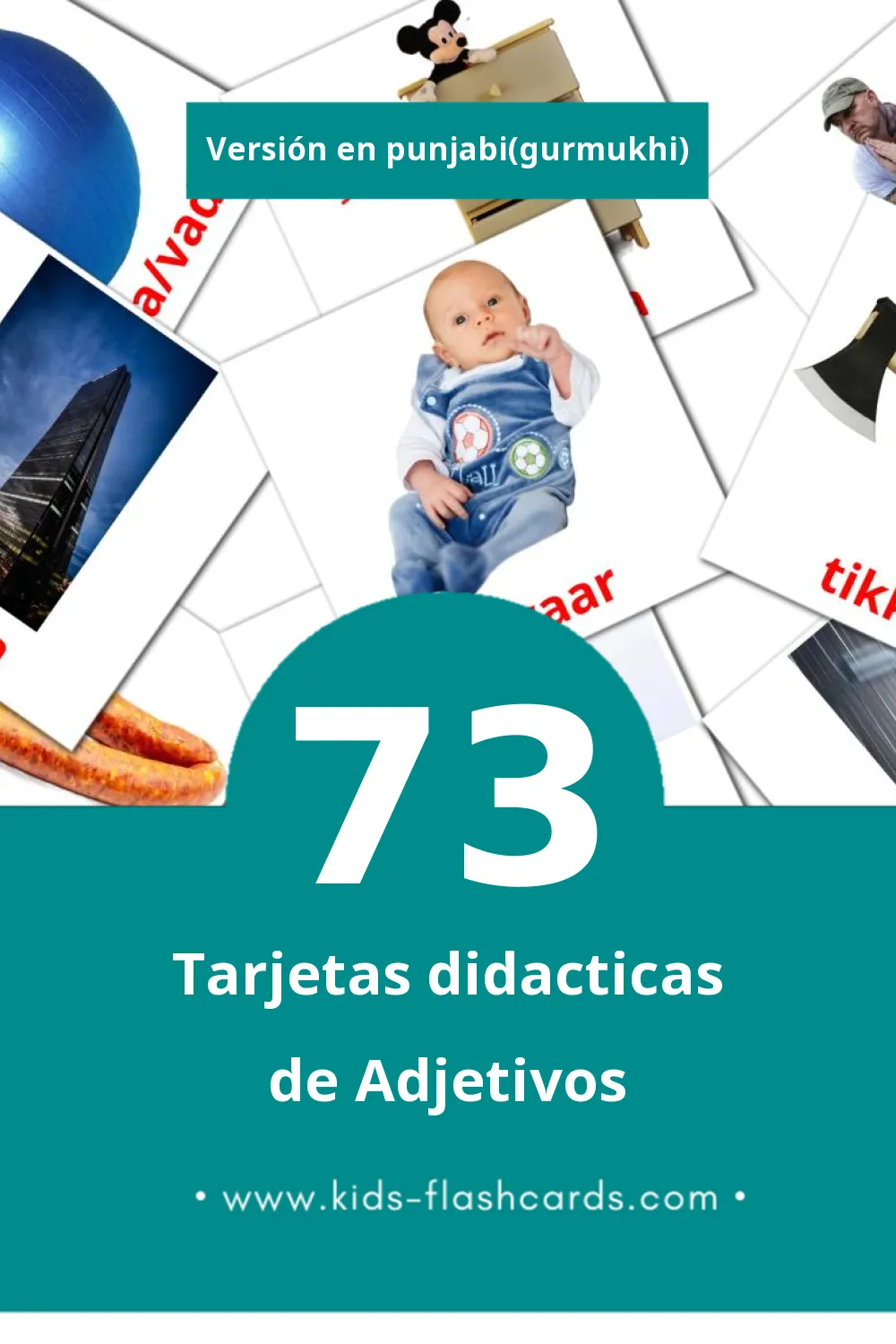 Tarjetas visuales de common para niños pequeños (73 tarjetas en Punjabi(gurmukhi))