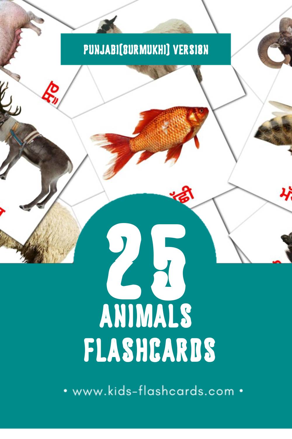 Visual ਜਾਨਵਰ Flashcards for Toddlers (25 cards in Punjabi(Gurmukhi))