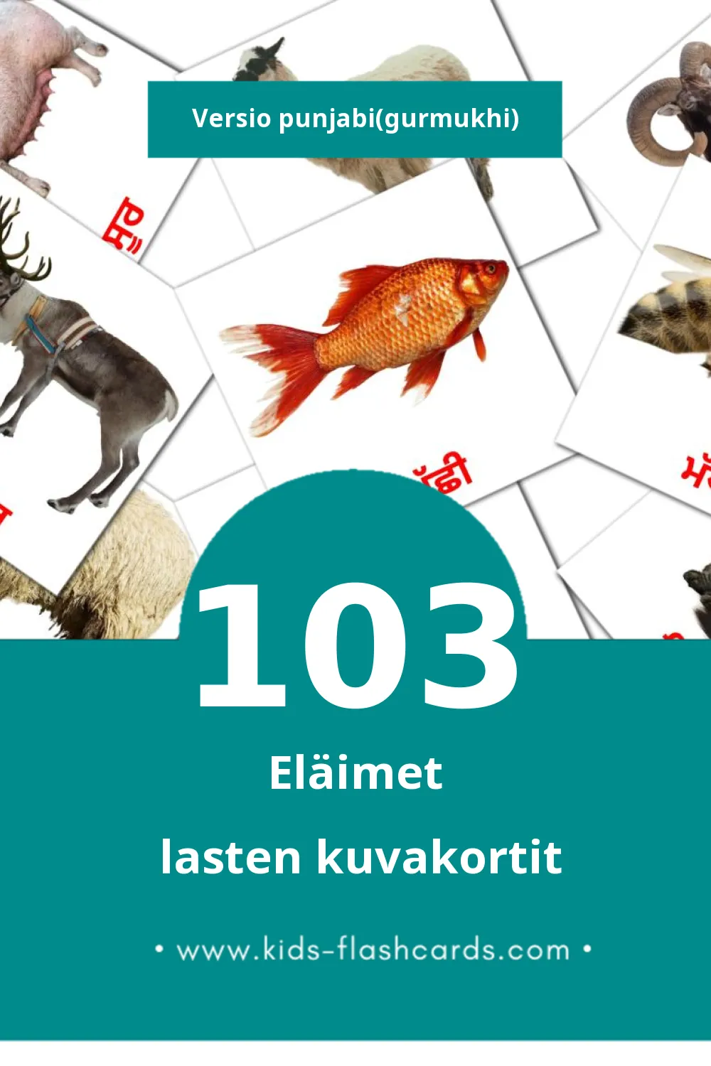 ਜਾਨਵਰ lasten kuvakortit pikkulapsille (103 korttia Punjabiksi(gurmukhi))