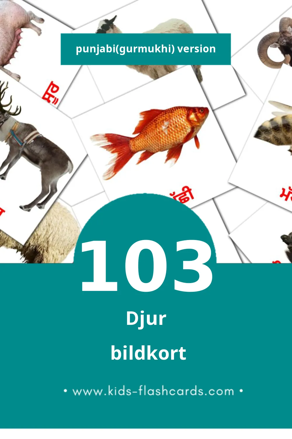 Visuella ਜਾਨਵਰ för småbarn (103 bildkort för barn på Punjabi(gurmukhi))