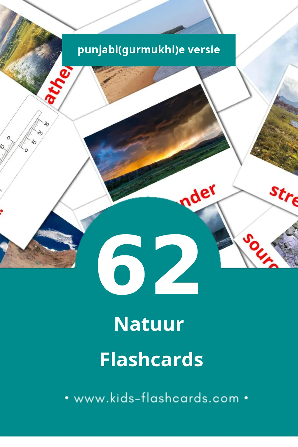 Visuele Nature Leerkaarten voor Kleuters (62 kaarten in het Punjabi(gurmukhi))