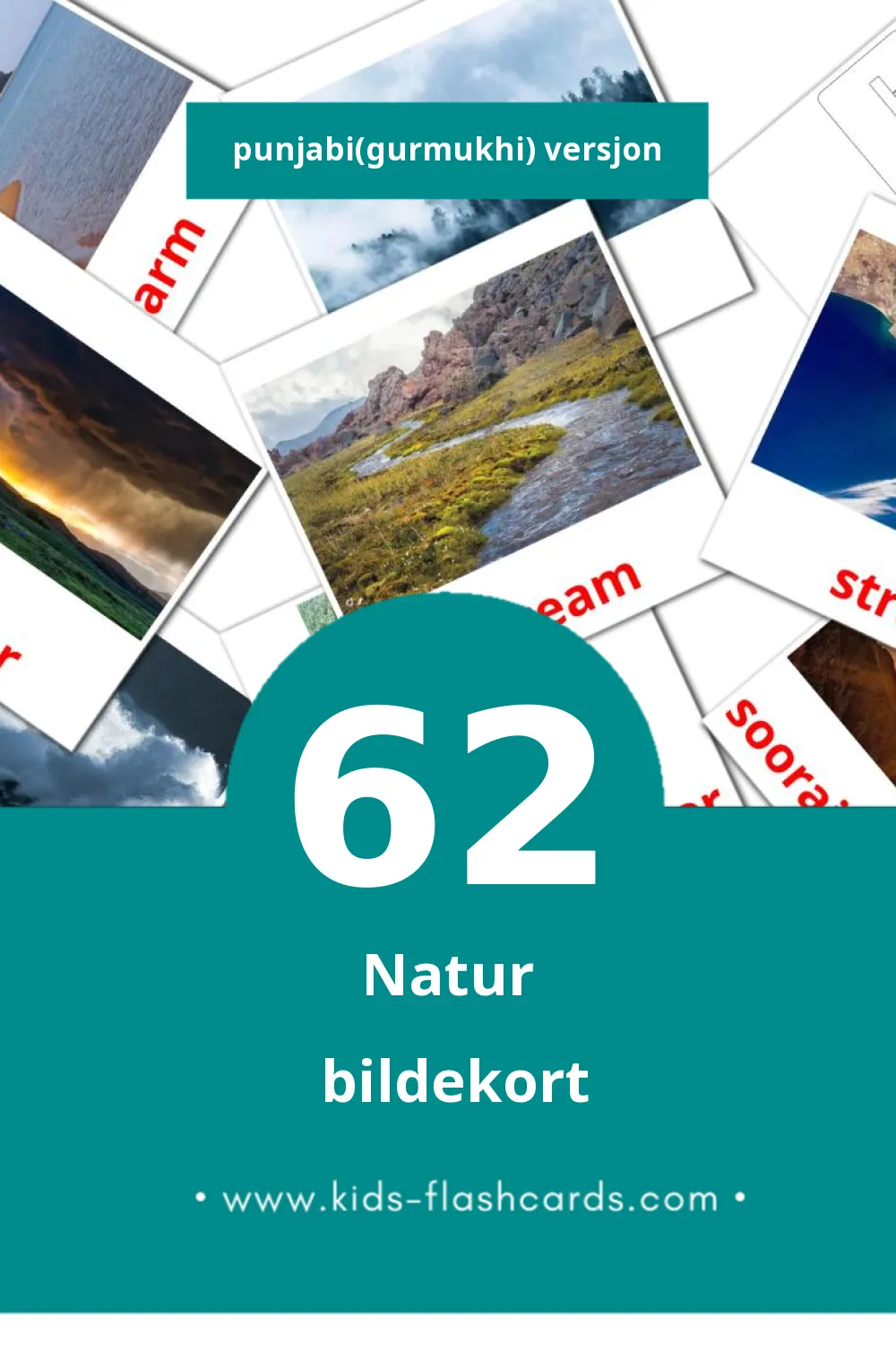 Visuelle Nature bildekort for småbarn (62 kort på Punjabi(gurmukhi))