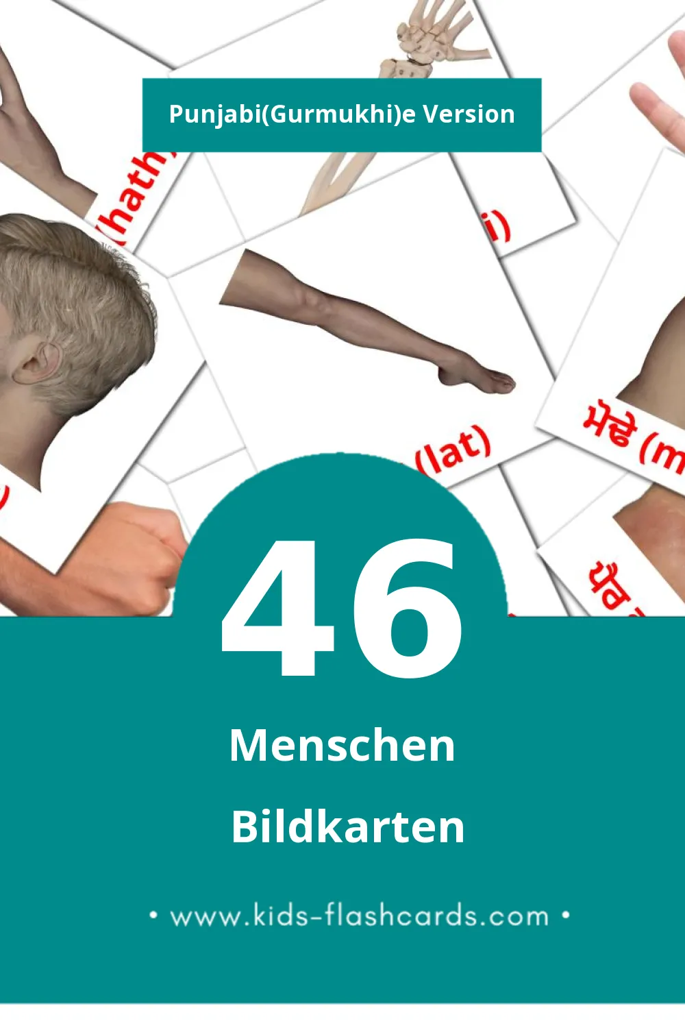 Visual ਲੋਕ Flashcards für Kleinkinder (46 Karten in Punjabi(Gurmukhi))