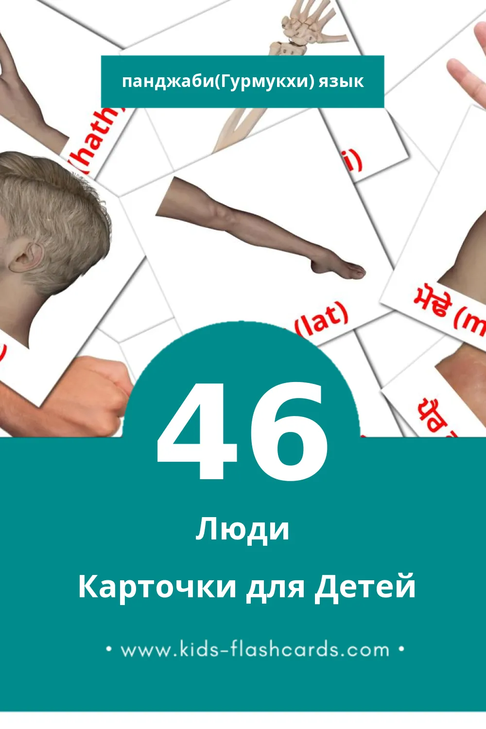 "ਲੋਕ" - Визуальный Панджаби(Гурмукхи) Словарь для Малышей (46 картинок)