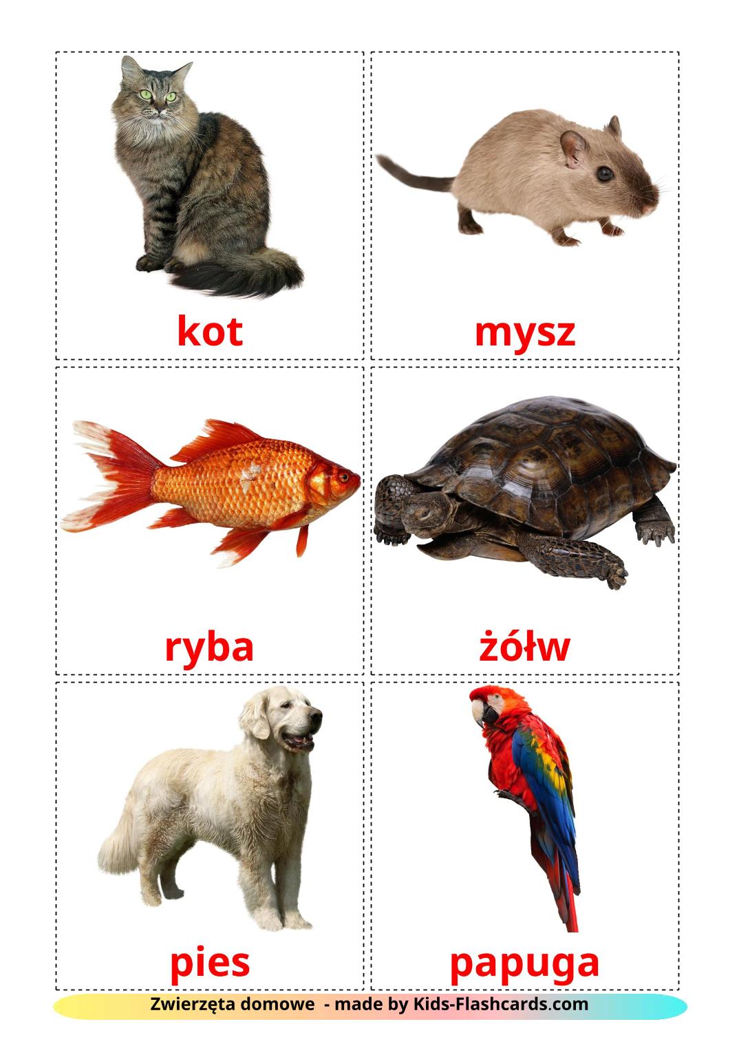 Les animaux Domestiques - 10 Flashcards polonais imprimables gratuitement